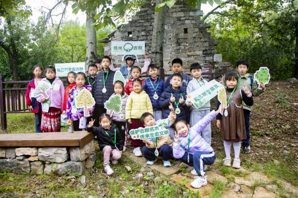 1761706320417112.png 19.png