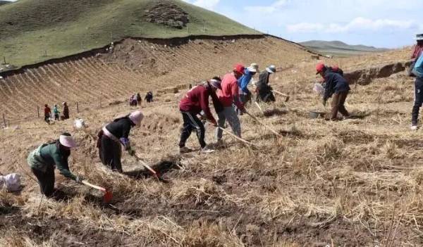 1761788516765230.jpg 3 (1).jpg