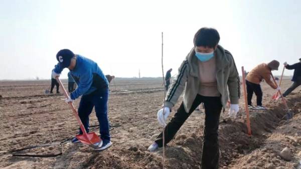 1762140142536152.jpg 12.jpg