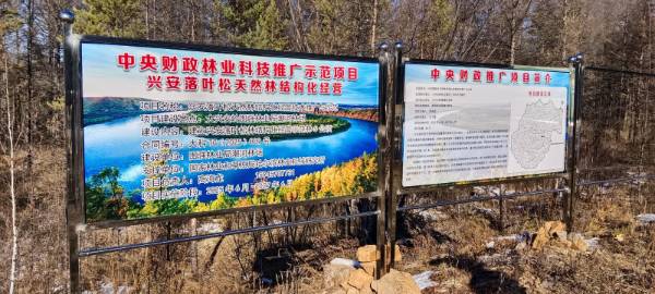 1762225419748963.jpg 1 (1).jpg