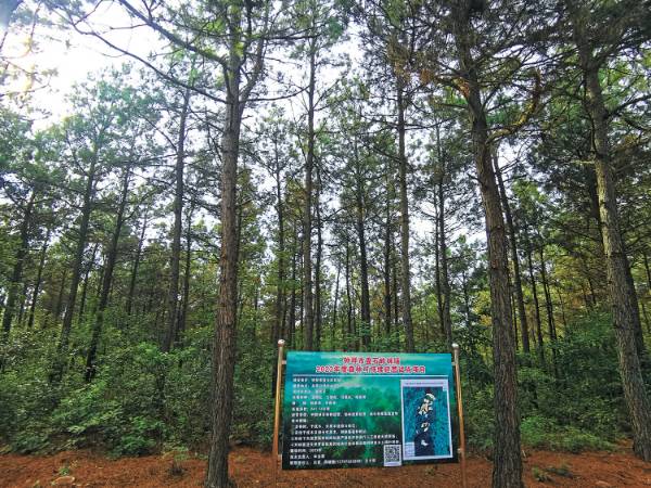 1762225643487294.jpg 5 (1).jpg