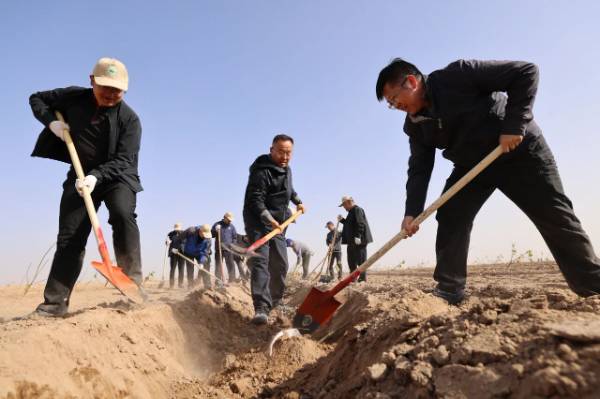 1762226730573169.jpg 1 (1).jpg