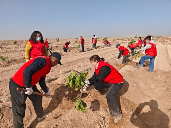 1762226741586102.jpg 3 (1).jpg