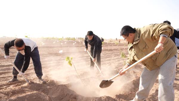 1762226748569520.png 4 (1).png