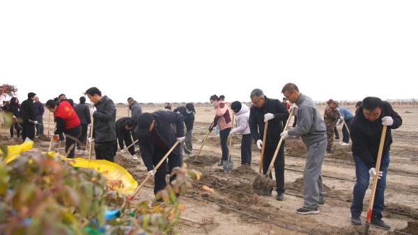 1762411530165546.png 3.png