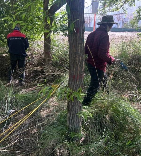 1762411916603970.jpg 2.jpg