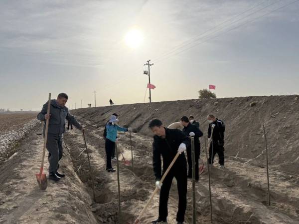 1762413405362811.jpg 7 (1).jpg