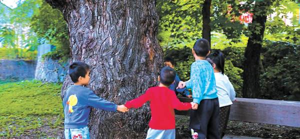 1762740060349658.jpg 1 (1).jpg