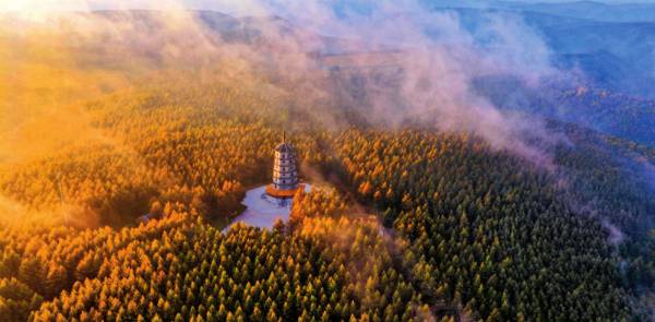 1762828269930262.jpg 7 (1).jpg