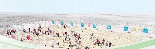 1762914486491589.jpg 6 (1).jpg