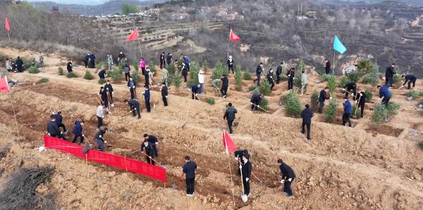 1763101925587339.png 20.png