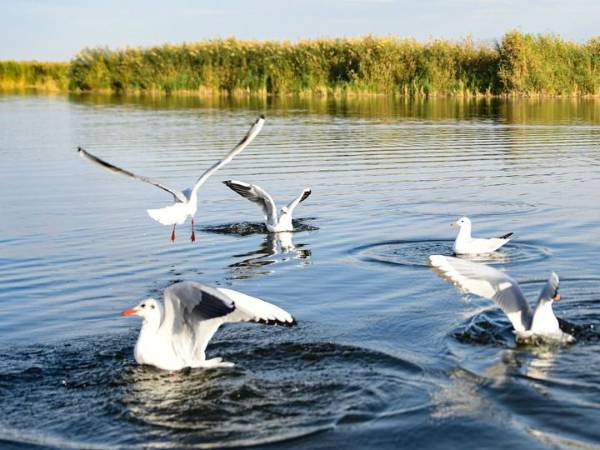 1763528744501719.jpg 2.jpg