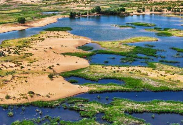 1763528771724242.jpg 3.jpg