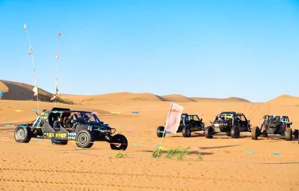 1763528787388165.jpg 4.jpg