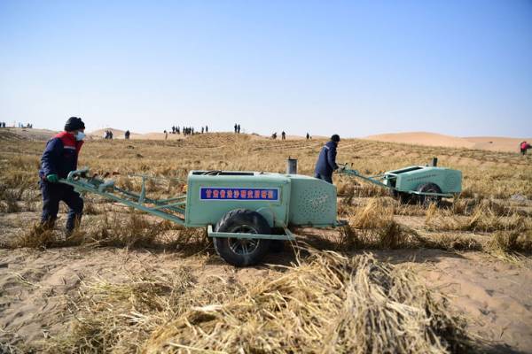 1763528833932701.jpg 7.jpg