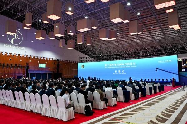 1763528847448808.jpg 8.jpg