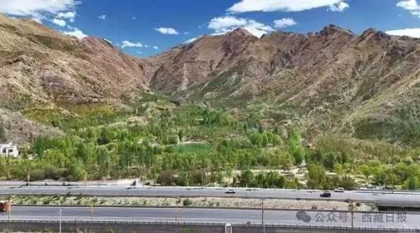 1763529940666482.jpg 3.jpg