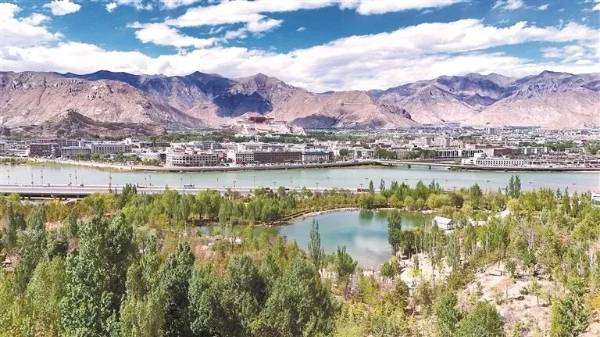 1763529997720401.jpg 1.jpg