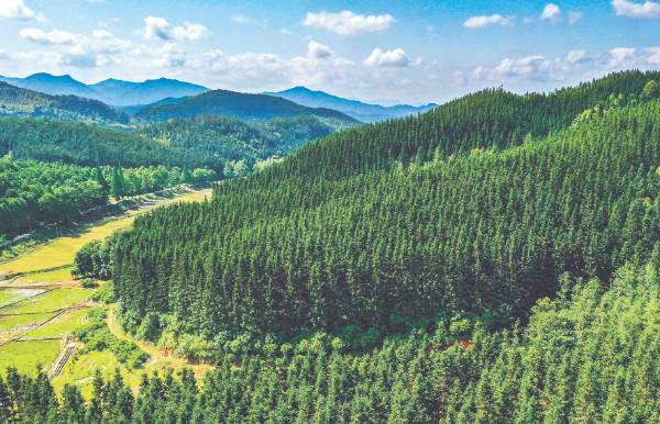 1763604737790625.jpg 1 (1).jpg