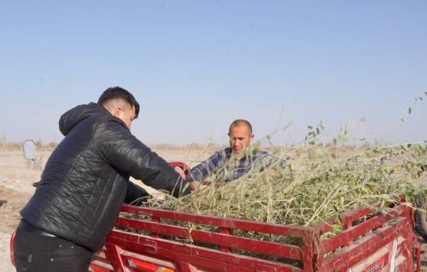 1763953212505544.png 2.png