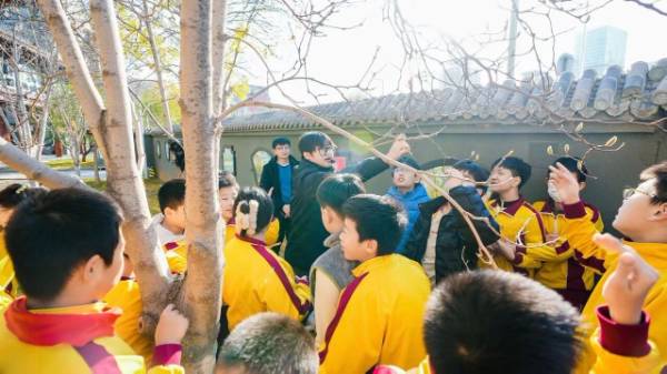 1764310307635644.jpg 1.jpg