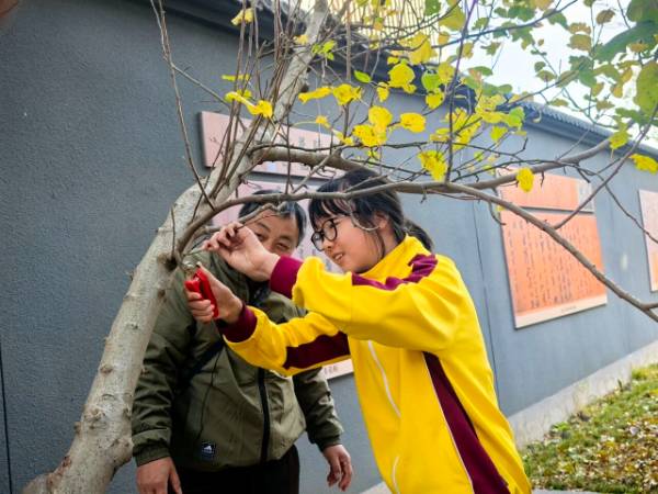 1764310312862456.jpg 2.jpg