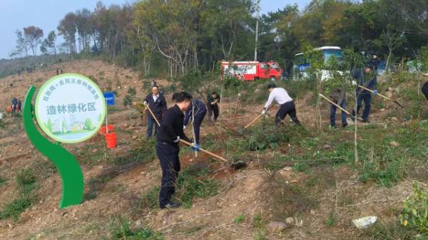 1764310410176340.jpg 6.jpg