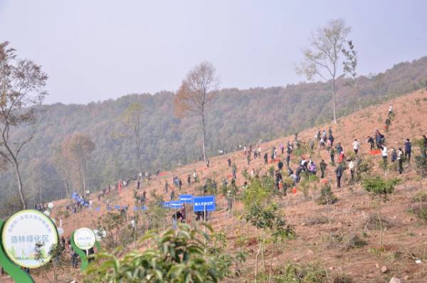 1764310424427428.jpg 7.jpg