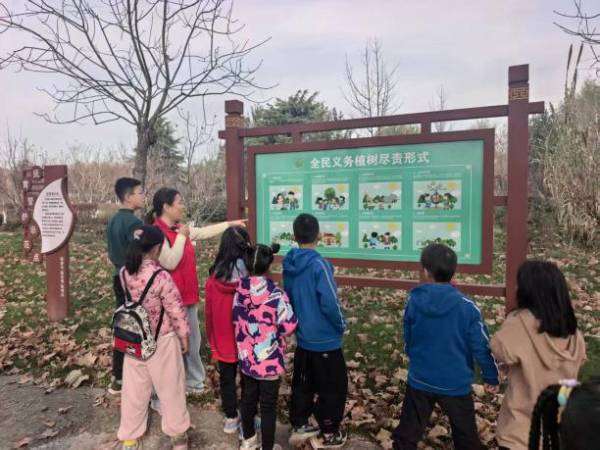 1764311617148013.png 1.png