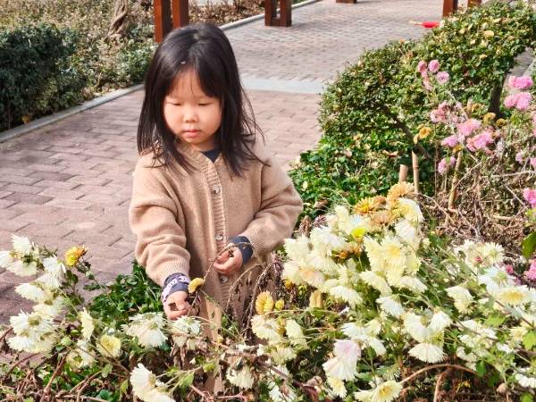 1764311655630615.jpg 7.jpg