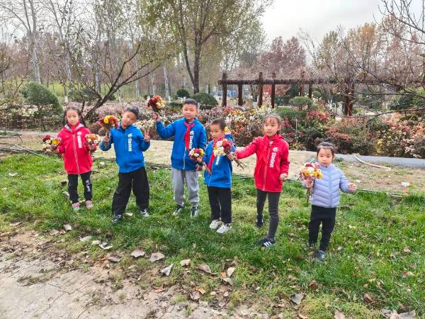 1764311661784401.jpg 9.jpg