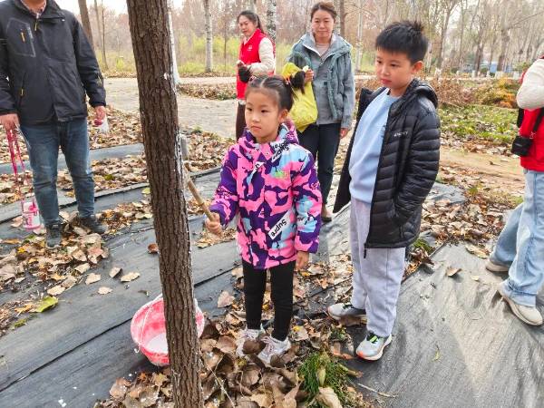 1764311668514450.jpg 10.jpg