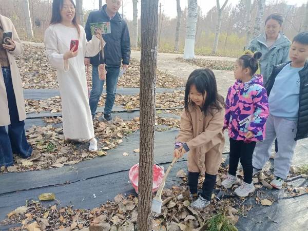 1764311672291226.jpg 11.jpg