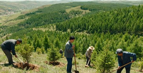 1764827279334014.jpg 5 (1).jpg