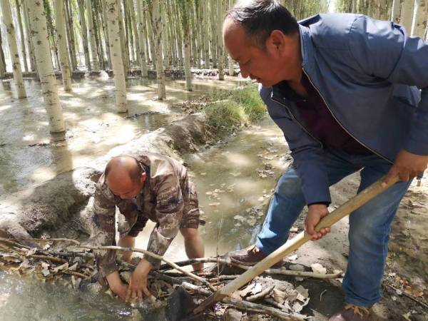 1764914352953045.jpg 4.jpg