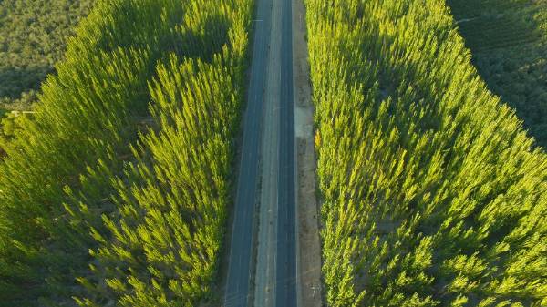 1764914366978801.jpg 3.jpg