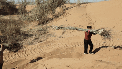 1764914480657711.gif 15.gif