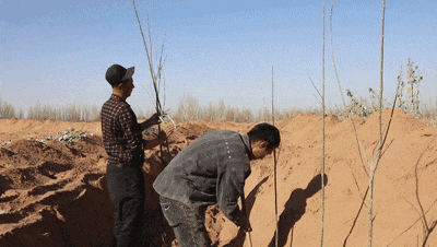 1764914499194759.gif 16.gif