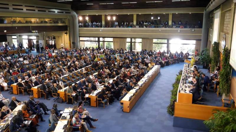 1765343517431211.jpg 1 (1).jpg