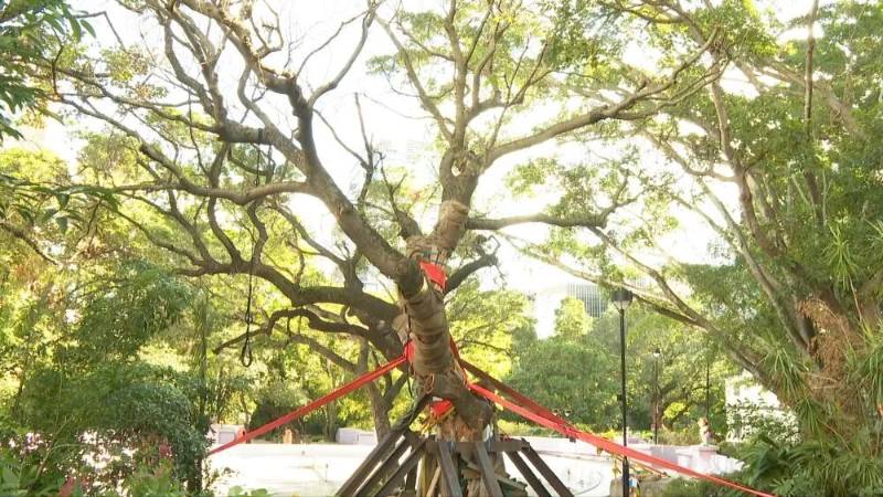 1765421938338783.jpg 11.jpg