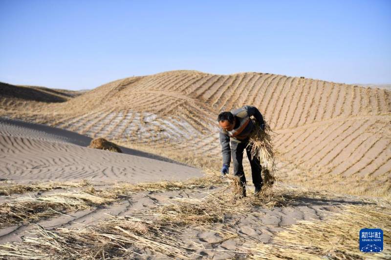 1765768371602916.jpg 7 (1).jpg