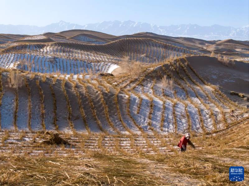 1765768387569653.jpg 9 (1).jpg