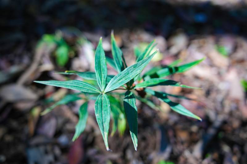 1765855964294308.jpg 14.jpg