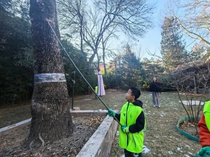 1767763618306135.jpg 9.jpg