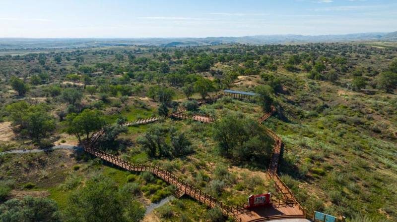 1767851530128222.jpg 3.jpg