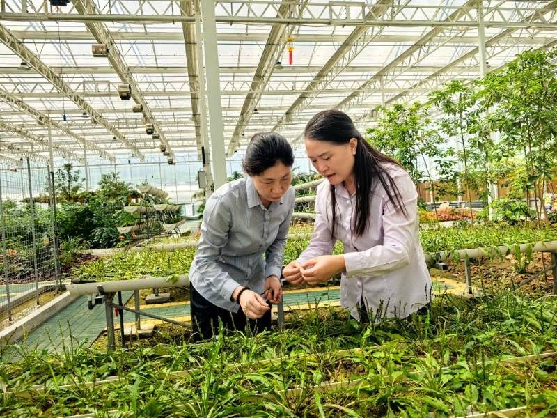 1767851550940257.jpg 4.jpg