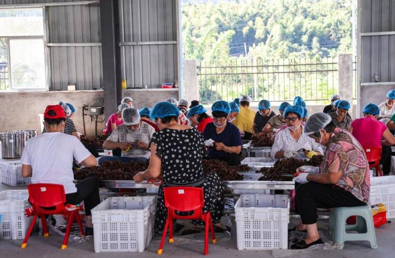 1767851579783466.jpg 5.jpg