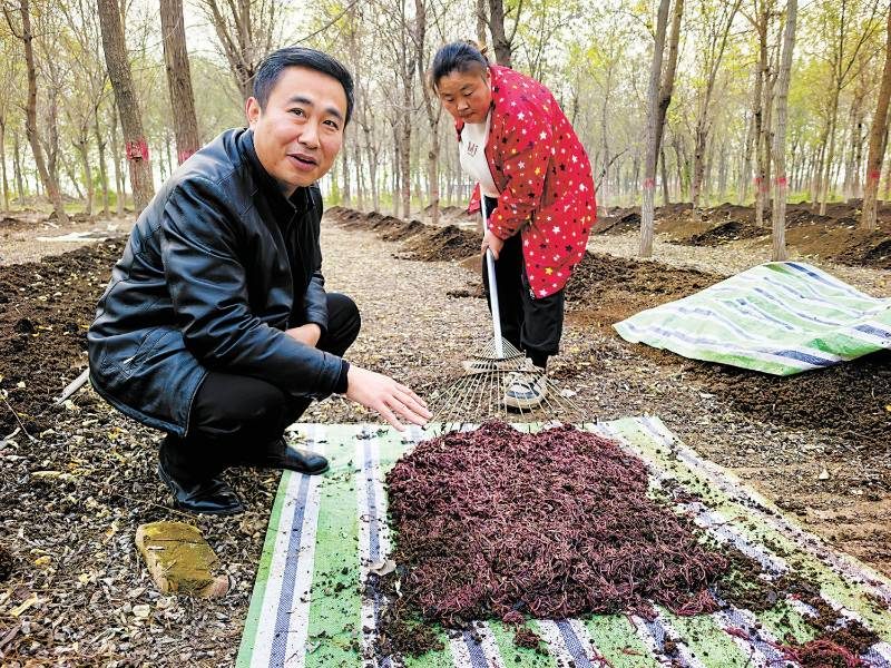 1767855610928628.jpg 2 (1).jpg