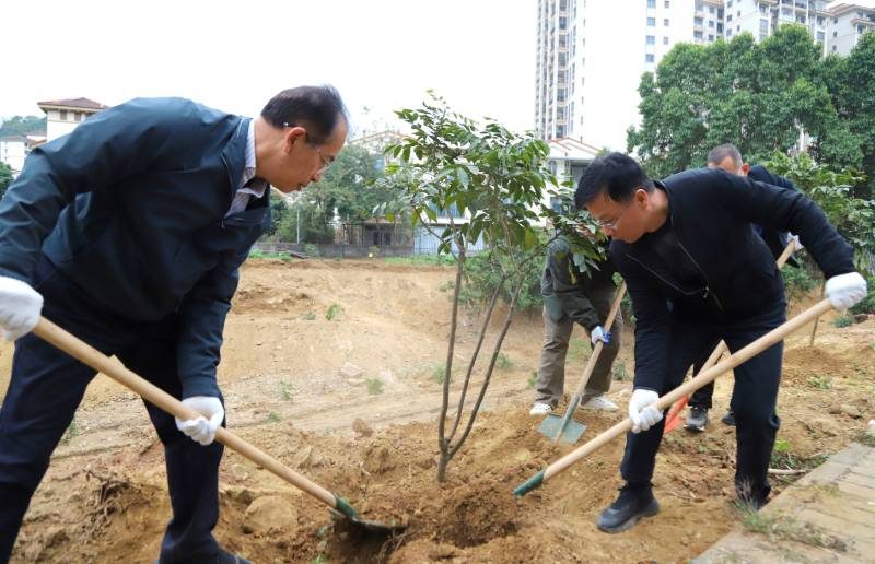 1767947142929743.jpg 1 (1).jpg