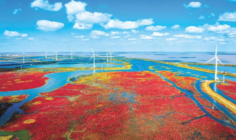 1768185484686663.jpg 1 (1).jpg